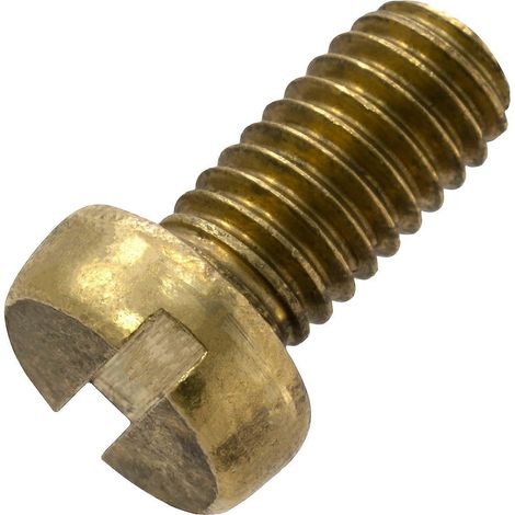 Jeu de 20 vis métalliques à tête cylindrique M6 x 20 mm avec empreinte en S fendue - boulon d'assemblage en laiton - tournevis de serrage (1/5)