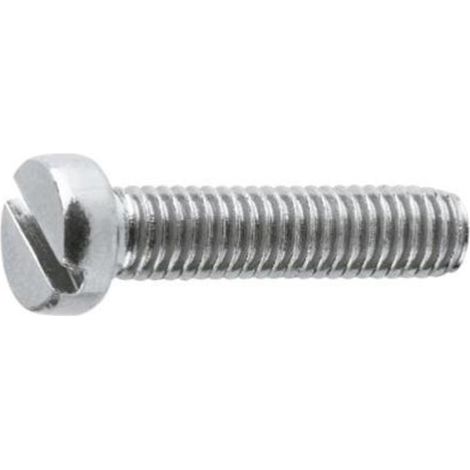 tornillo rosca metal cabeza alomada din metrica m-5 largo 60mm