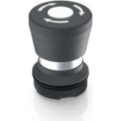 RAFI 1.30.276.001/2200 RAFIX 22 FS Bouton-poussoir coup de poing à accrochage (L x l x H) 29.8 x 29.8 x 42.1 mm 1 pc(s)