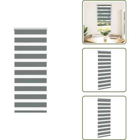 vidaXL Zebrarollo Dunkelgrau 60x100 cm Stoffbreite 55,9 cm Polyester (1/5)