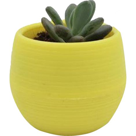 Pot succulent, Mini récipient de fleurs de semis en plastique pour jardin, cour, balcon, jaune (1/2)