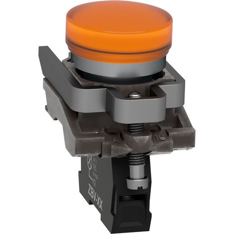 Harmony voyant rond Ø22 - IP66 - orange - LED intégrée - 240 V  - XB4BVM5