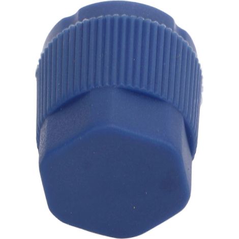 Lot de 50 bouchons de valve de climatisation automobile de rechange universels (1/5)