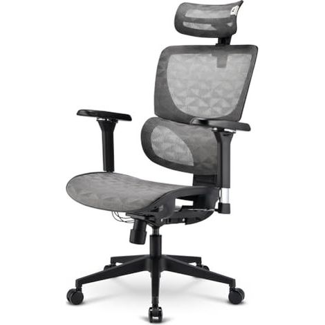 Sharkoon OfficePal C40M Seduta in rete Schienale a rete (1/4)