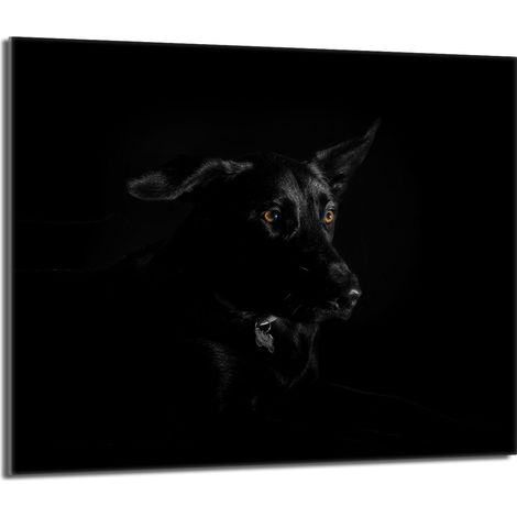 Protezione per piano cottura in vetro 60x52 Cane (1/5)