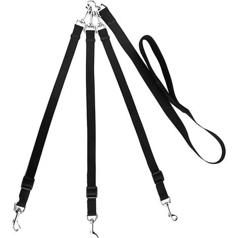 Kit de laisses à trois têtes comprenant une, deux et trois laisses pour chiens de grande, moyenne et petite taille. (1/2)