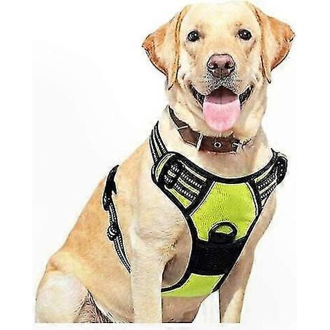 Verstellbares grünes Hundegeschirr XXL, reflektierende Streifen, komfortables und sicheres Anti-Zug-Design, atmungsaktives Material, leicht anzulegen (1/4)