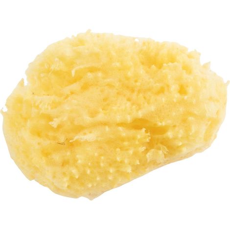 Spugna per Bagnetto morbida e delicata