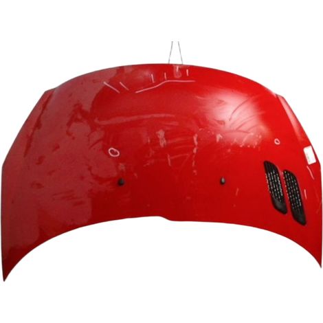 [PRODUIT D'OCCASION] Capot PEUGEOT 206 ♻️ Ref Oe. 7901r5 - Garantie à vie (1/3)