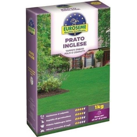 EUROSEME INGLESE 1000 G (1/2)