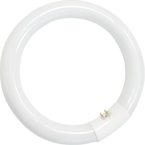 Tubo fluorescente circolare 32W T9 6400K GSC 2000590