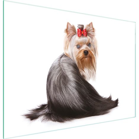 TABLA DE CORTAR DE VIDRIO 30x22 PERRO (1/5)