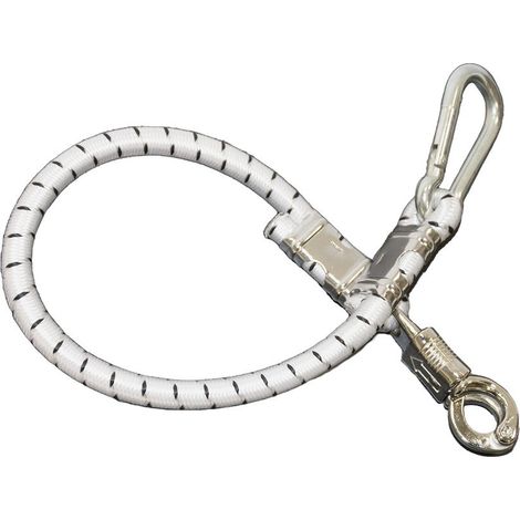 Lunghina elastica per box da 75 cm con moschettone doppio