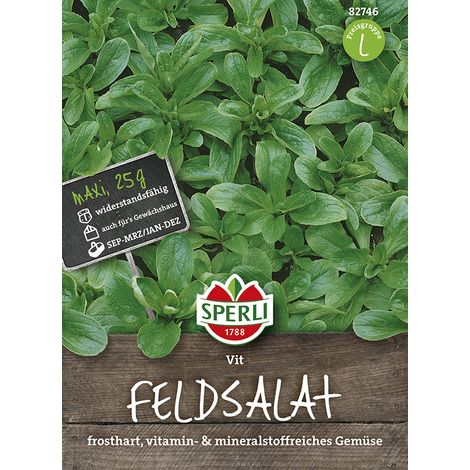 Sperli – Mâche Vit Maxi (Valerianella locusta) – Graines de légumes, sachet de 25 g, hauteur env. 15 cm (1/2)