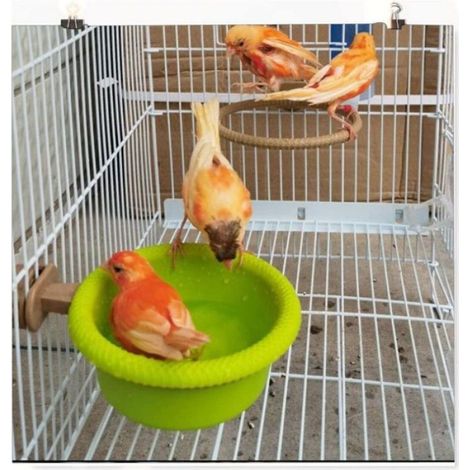 Bain Pour Oiseaux - Diamètre 10 Cm - Profondeur 5 Cm - Plastique Durable - Pour Cage Ronde Ou Carrée - 1 Pièce (1/5)
