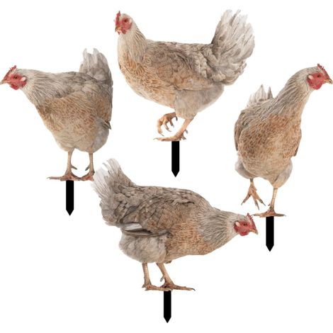 Stück Acryl Hühnerstecker Henne Gartendekoration für