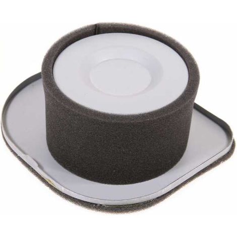 Filtre à air pour moteur Kawasaki 3144AA-1312A (1/5)