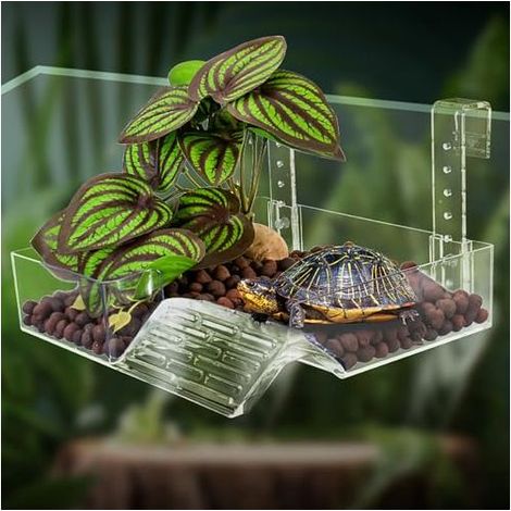 Xixibuy Plateforme de Repos pour Tortue, Plateforme Tortue d'eau pour Les Amateurs de Tortues, Turtle Bank Plateforme de Dock Flottante, Plate-Forme d'escalade de Verdure simulée(Size: M) (1/4)