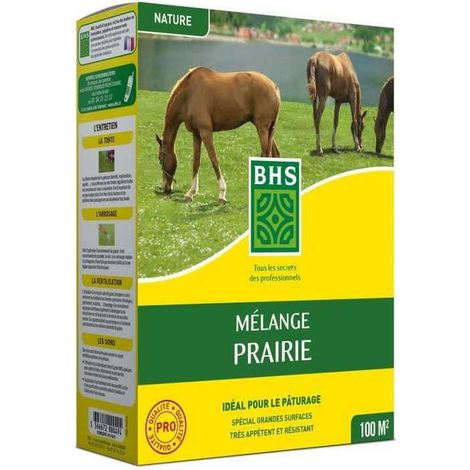 bhs Mischung Wiese Rasensamen 1 kg Deckung 40 m²