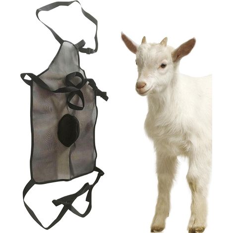 Tablier anti-accouplement pour chèvres, jupe de chèvre de contrôle de l'élevage, tablier respirant pour bétail, vêtements de chèvre lestés, outils de gestion du flocage de chèvre, protection de (1/5)