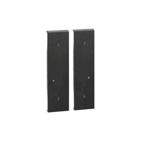 Enjoliveur Living Now with Netatmo pour commande 4 scenarios 2 modules - noir (BTKG37M2)
