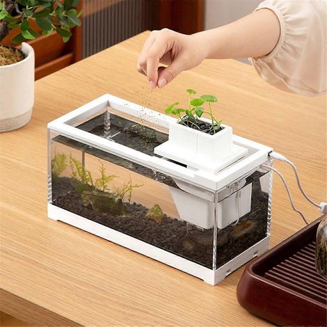 Mini aquarium avec éclairage intérieur, style paysager (1/5)