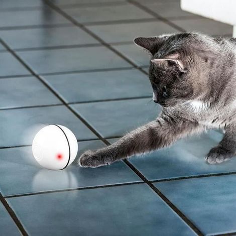Jouet interactif pour animaux de compagnie - Balle tournante automatique à 360 degrés (1/4)