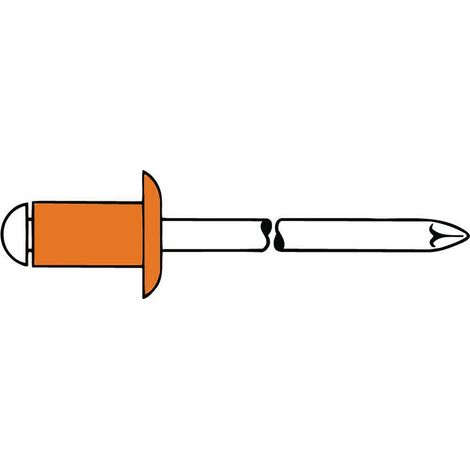 Rivet POP tige de rivet d x l 4 x 10 mm cuivre / Bronze 50 un. GESIPA (1/2)