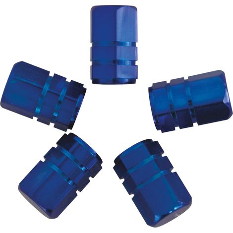JEU DE 5 CAPUCHONS DE VALVES PISTON UNIVERSEL BLEU (1/2)