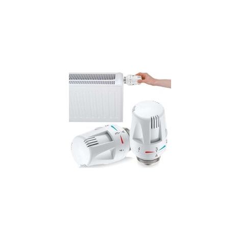 Tête thermostatique de radiateur - Valve de radiateur - Valve de radiateur : 2 pièces - Tête thermostatique de radiateur - Tête de rechange - Thermostat de radiateur M30 x 1,5 - Thermostat de (1/4)