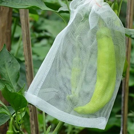 50pcs, sacs anti-insectes pour fruits et légumes, sacs anti-mouche des fruits et sacs anti-oiseaux pour fraises, figues, raisins et autres fruits (1/5)