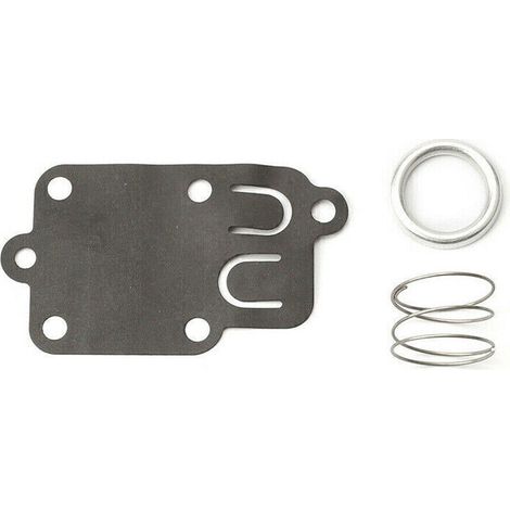 Membrane carburateur Briggs et Stratton (1/4)