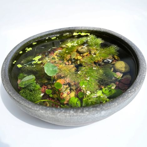 Sable naturel pour aquarium 4 kg 2 kg modèle 1