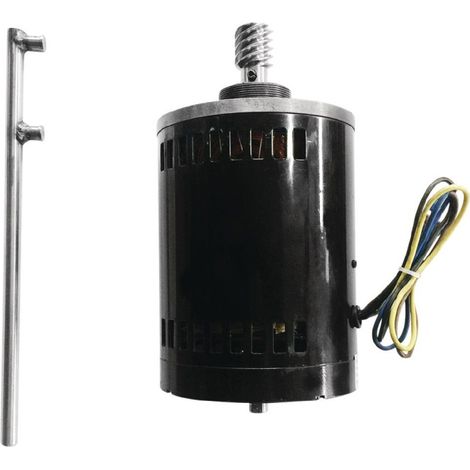 Moteur (comprend moteur et roue à vis sans fin) (AF529) - Buffalo