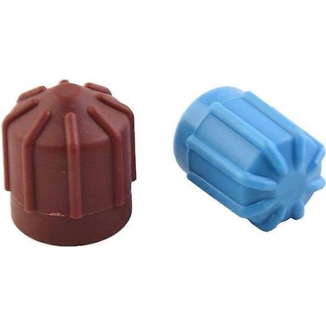 Paire de bouchons de vanne de climatisation automatique haute/basse tension R134A, cache-poussière (1/4)
