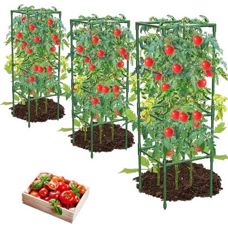 3er Pack Tomatenkäfige Quadratische Pflanzenstützen für Klettergemüse und Blumen Besonders stabil und langlebig (1/5)