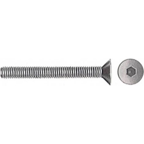 200 x VITE P/FERRO TSPEI FILETTO TOTALE 6X 30MM BRUNITA UNI5933