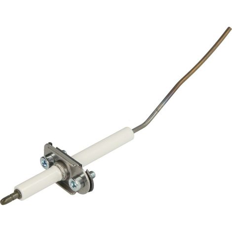 Électrode d'ionisation
