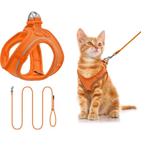 Harnais pour chat réglable avec laisse - Ensemble confortable et respirant pour promenade et sécurité, idéal pour chaton et petit chien (1/5)