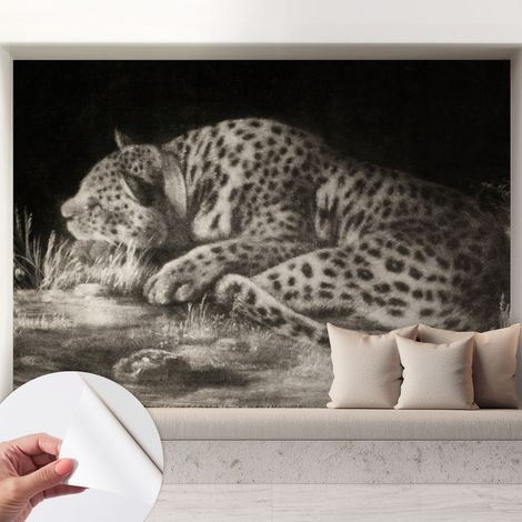 Fotomurale adesivo stickers - per camera da letto - per corridoio - decorazione casa moderna Lepardo a riposo 208x146 cm (1/5)