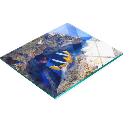 Tablero de vidrio decorativo multifuncional para cocina con dise帽o de peces tropicales, 60x52 cm.