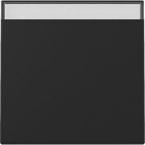 Gira WIPPE BSF SYSTEM 55 SCHWARZ M (3299005 SYSTEM 55)