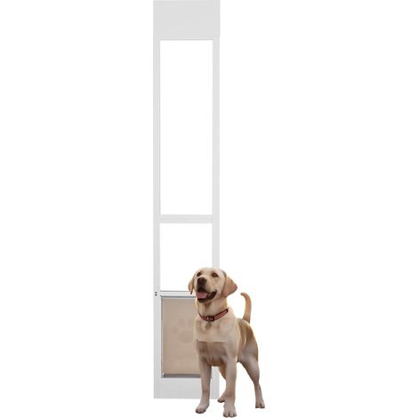 Porte pour chien pour porte vitrée coulissante, ajustable 75 7/8-80 11/16, cadre aluminium, verre trempé, pour chiens moyens (1/5)