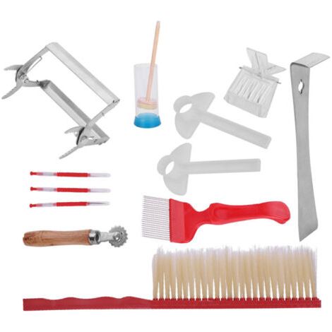 BUNTHAUS 12 pièces Kit d'outils d'apiculture en acier inoxydable outil de ruche abeille brosse extraction fourche
