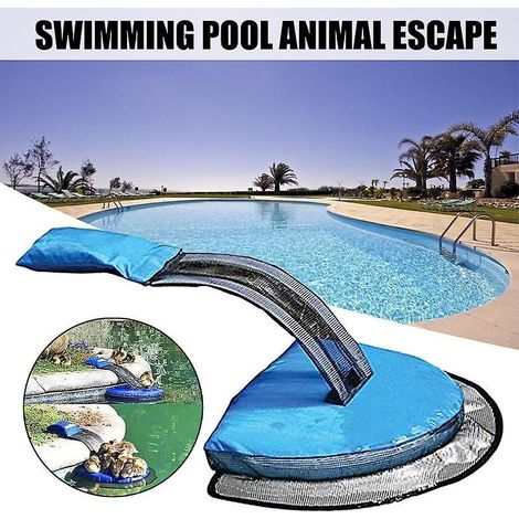 Rampe flottante de sauvetage pour animaux – Plastique durable – Dimensions adaptées à toutes les piscines – Prévention des noyades (1/5)
