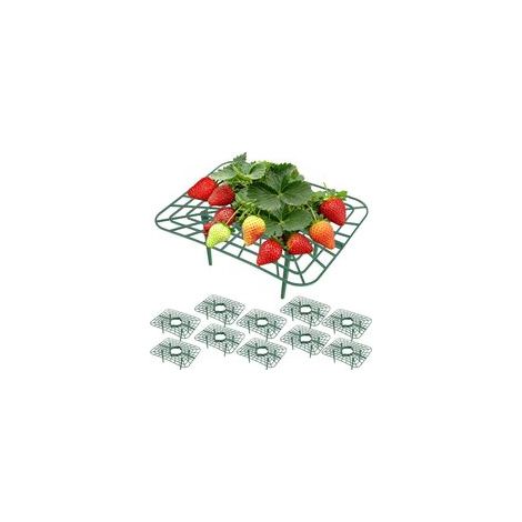 10 Pièces Support Fraisier, Support Fraise Jardin Plastique Réutilisable, Tuteur Fraisier 4 Pieds Stables, Anti-Limaces & Moisissure, pour Fraisiers, Tomates, Potager(Vert)