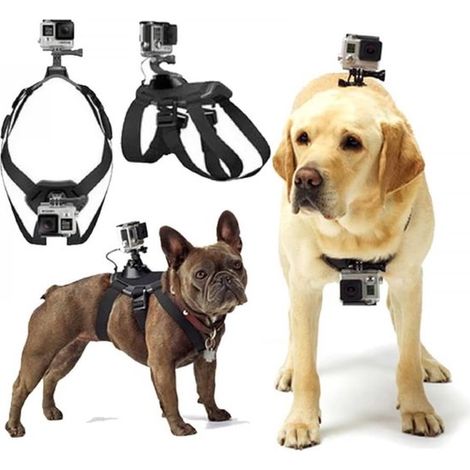 Adatta per GoPro. Pettorina regolabile per cani di taglia grande, media e piccola, con aggancio sul petto e sulla schiena. (1/5)