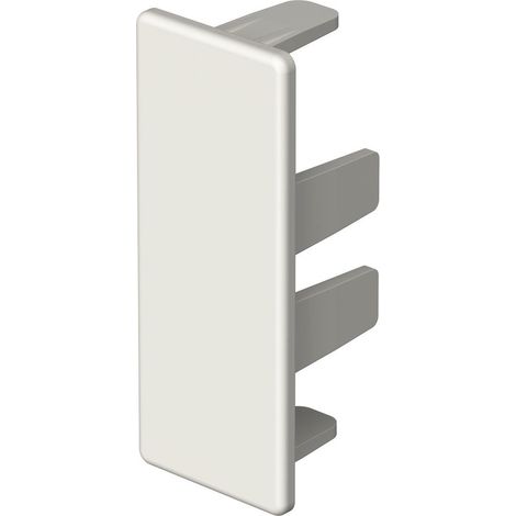 OBO Bettermann Pieza final 20x50mm Cloruro de polivinilo blanco puro RAL 9010, 6154557