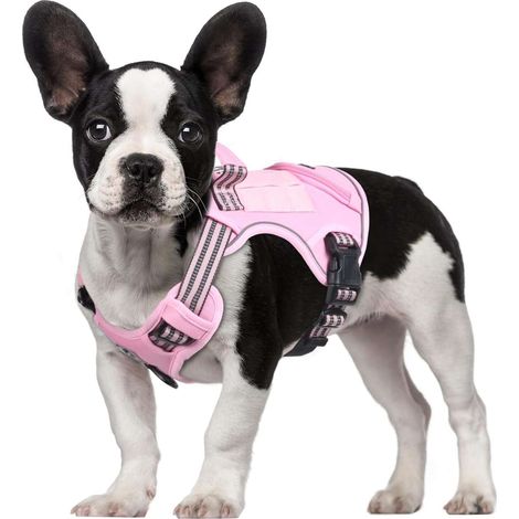 Taktisches Hundegeschirr mit Gurt, reflektierend, pink, Größe M