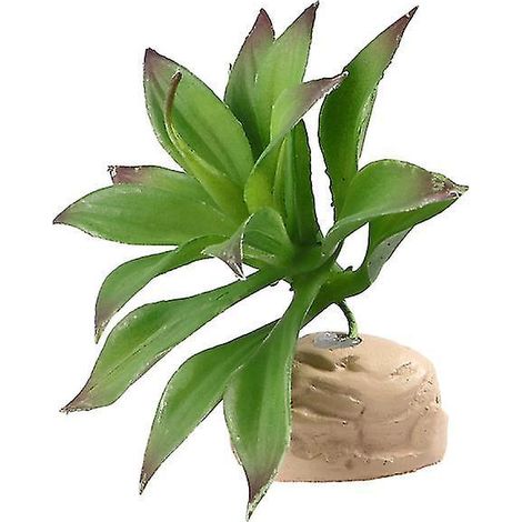 1 décoration pour terrarium à reptiles (1/3)